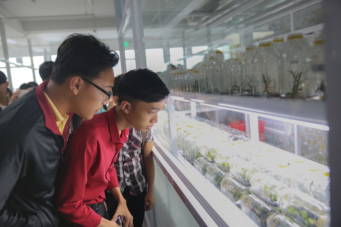Hơn 200 học sinh trường THPT Hòa Tú, tỉnh Sóc Trăng tham quan, tìm hiểu HUTECH 38