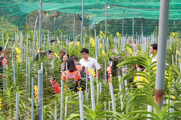 Sinh viên HUTECH tham quan thực tế mô hình khởi nghiệp tại vườn lan Hiền Nhơn 25