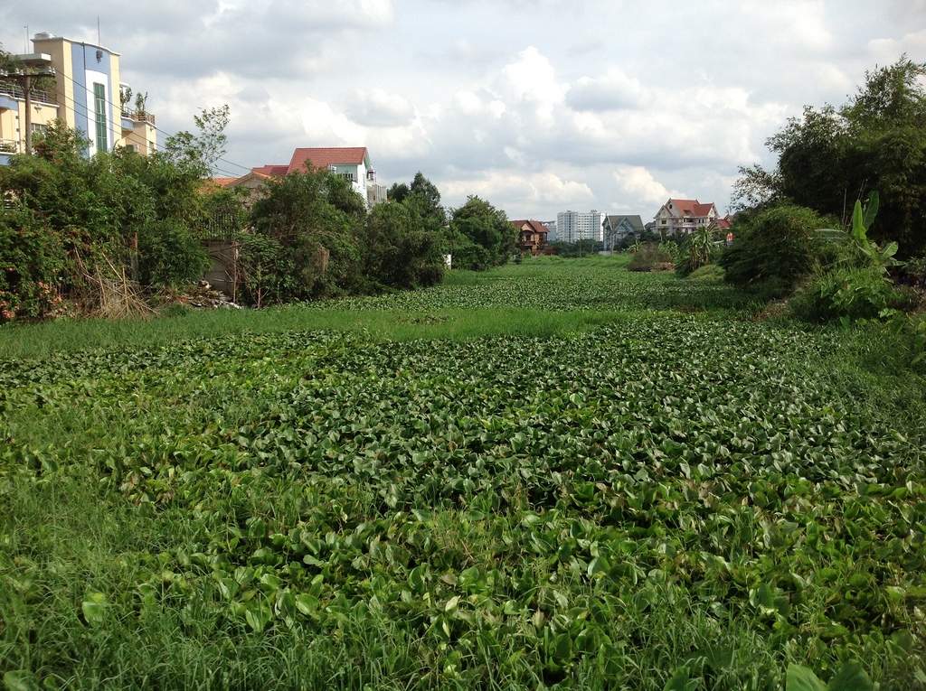 "Chiến công đầu" của Mùa Hè Xanh HUTECH 2013 trước Lễ Ra quân 16