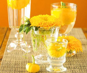 “Nước mủ Trôm hoa cúc” giành giải Nhất Hội thi “Ý tưởng sản phẩm thực phẩm mới 2010” 3