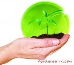 Nhiều cơ hội cho sinh viên HUTECH tại  Khu Nông nghiệp Công nghệ cao TP. HCM 28