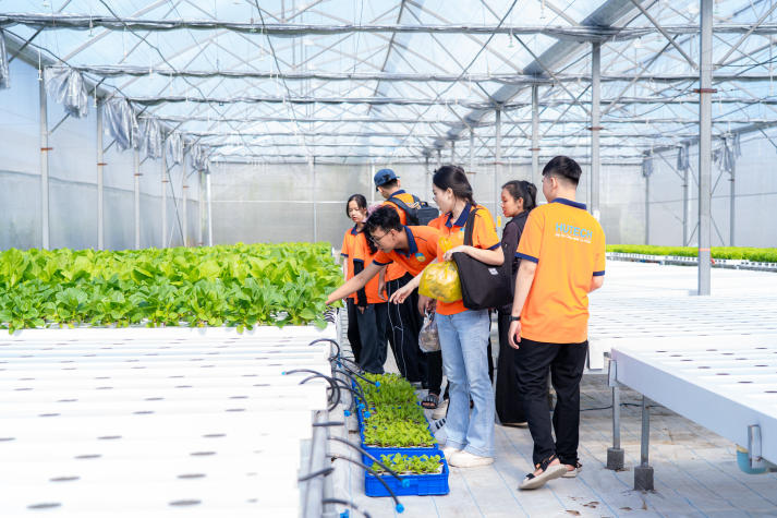 Sinh viên Viện Khoa học Ứng dụng tiếp cận công nghệ IoT trong nuôi trồng nấm và rau sạch 43