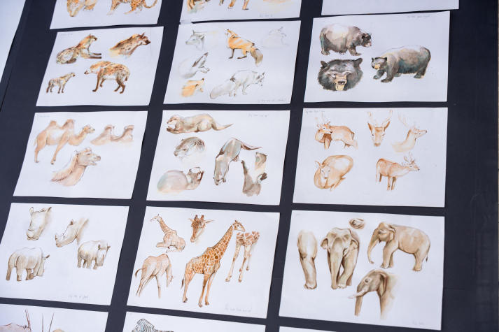 [Video] Triển lãm Hình hoạ tạo hình - Ký hoạ thiên nhiên qua góc nhìn của sinh viên Thiết kế đồ hoạ 62