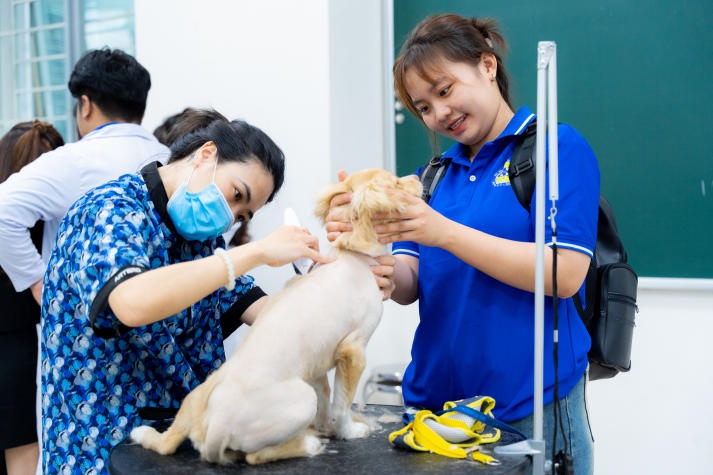 [Video] Hàng trăm thú cưng được thăm khám, tiêm vaccine phòng bệnh tại ngày hội “Chăm sóc sức khỏe thú cưng” HUTECH 189