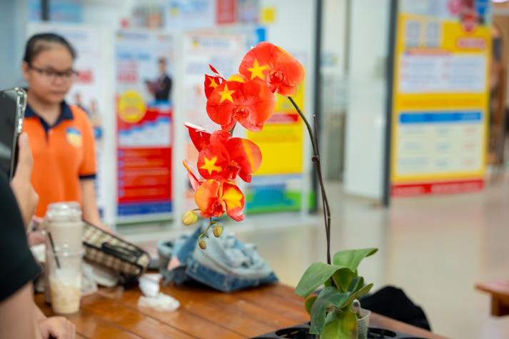 “Khoác áo mới” cho hoa lan: Hành trình sáng tạo của sinh viên Công nghệ sinh học 76