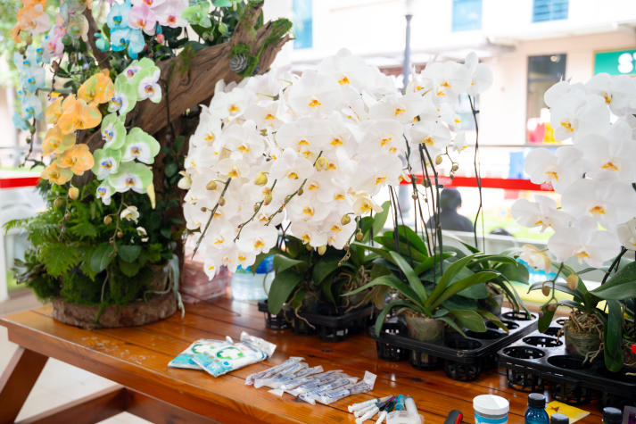 “Khoác áo mới” cho hoa lan: Hành trình sáng tạo của sinh viên Công nghệ sinh học 54