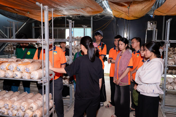 Sinh viên Viện Khoa học Ứng dụng tiếp cận công nghệ IoT trong nuôi trồng nấm và rau sạch 79