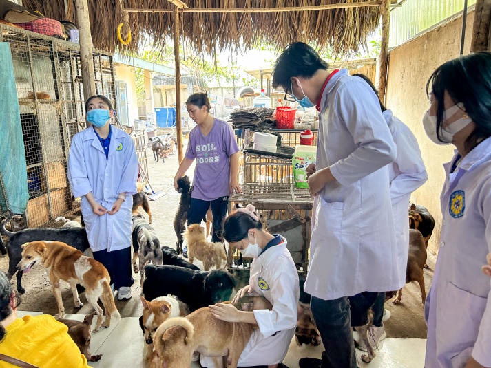 Chiến sĩ Xuân tình nguyện Khoa Thú y - Chăn nuôi thực hiện hành trình cứu hộ thú cưng đầy ý nghĩa 54