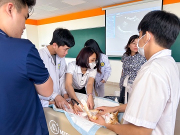 Sinh viên Khoa Thú y - Chăn nuôi HUTECH rèn luyện kỹ năng chẩn đoán cận lâm sàng ở thú cưng tại khóa tập huấn nâng cao 32