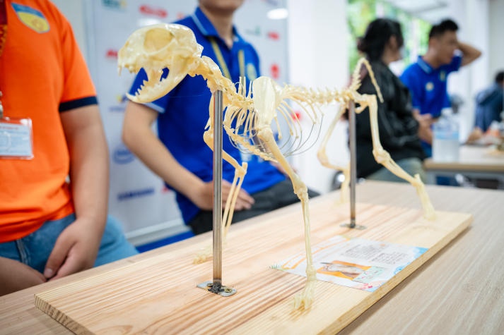 [Video] Đội nhà HUTECH xuất sắc giành giải Nhất cuộc thi Thiết kế mô hình cơ thể học thú y lần 3