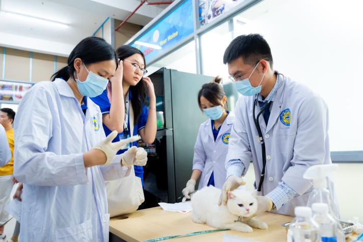 [Video] Hàng trăm thú cưng được thăm khám, tiêm vaccine phòng bệnh tại ngày hội “Chăm sóc sức khỏe thú cưng” HUTECH 192