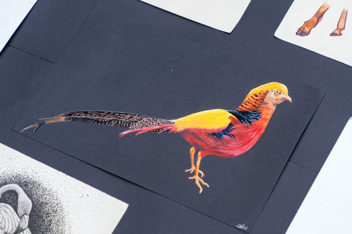 [Video] Triển lãm Hình hoạ tạo hình - Ký hoạ thiên nhiên qua góc nhìn của sinh viên Thiết kế đồ hoạ 67