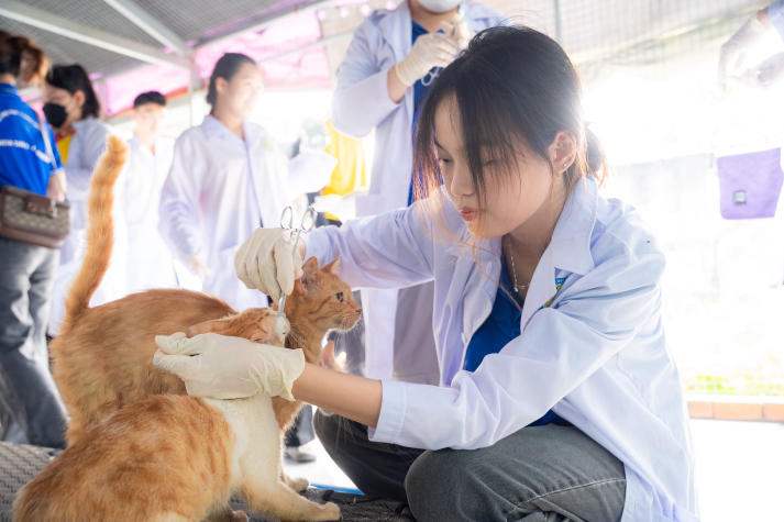 Sinh viên Khoa Thú y lan tỏa yêu thương qua hoạt động chăm sóc động vật trong chiến dịch Xuân tình nguyện 17