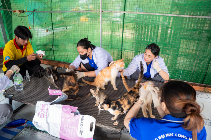 Sinh viên Khoa Thú y lan tỏa yêu thương qua hoạt động chăm sóc động vật trong chiến dịch Xuân tình nguyện 10