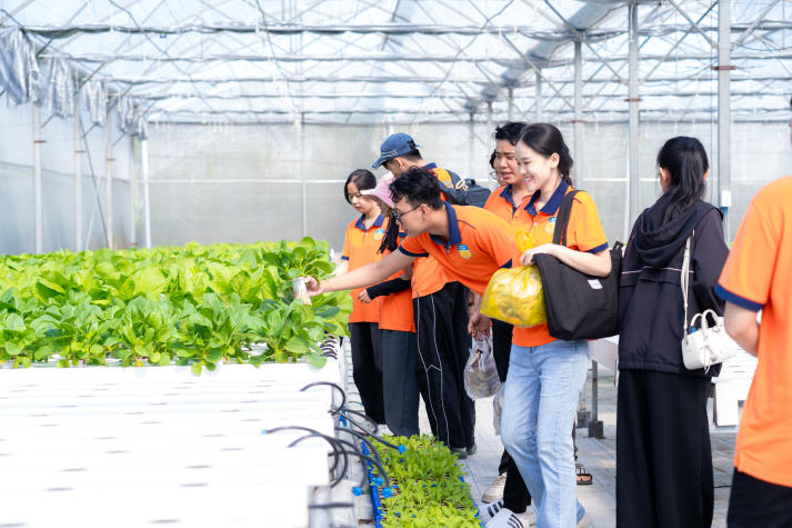 Sinh viên Viện Khoa học Ứng dụng tiếp cận công nghệ IoT trong nuôi trồng nấm và rau sạch 32