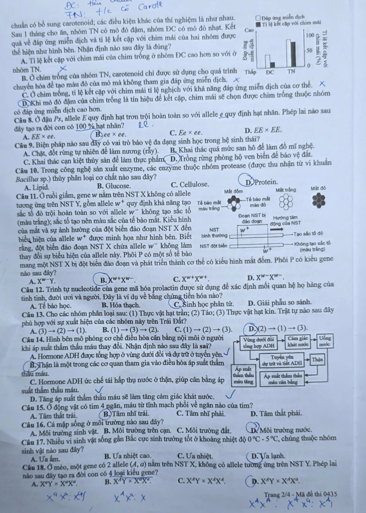 [Mới] - Đề thi tốt nghiệp THPT môn Sinh học và gợi ý giải đề 40