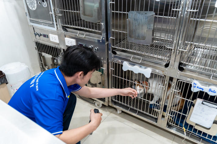Tân sinh viên Thú y công nghệ số khám phá công nghệ chăn nuôi, mở góc nhìn chăm sóc sức khỏe thú cưng 50