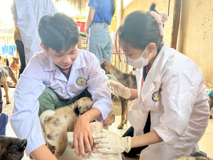 Chiến sĩ Xuân tình nguyện Khoa Thú y - Chăn nuôi thực hiện hành trình cứu hộ thú cưng đầy ý nghĩa 48