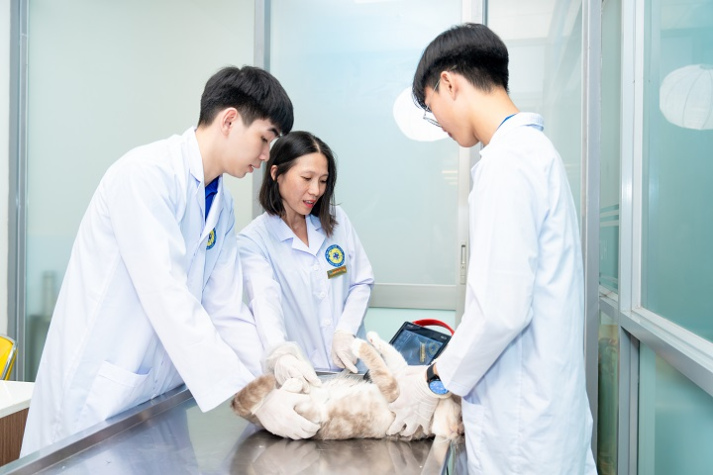 Danh mục ngành, thời gian đào tạo, tổng số tín chỉ và đơn giá học phí khóa 2025 tại HUTECH 48