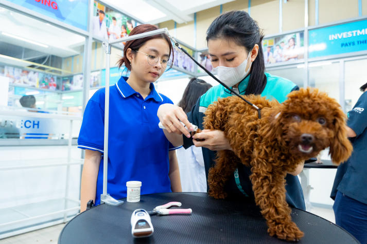 HUTECH tiên phong đào tạo chuyên ngành Chăm sóc thẩm mỹ thú cưng tại Việt Nam 32
