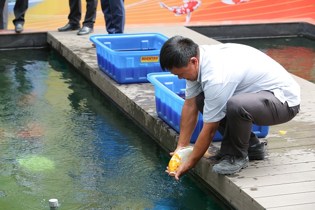 Khánh thành Hồ cá chép Nhật Bản, thêm không gian "sống ảo" cho sinh viên HUTECH tại Trung tâm Đào tạo chất lượng cao 74