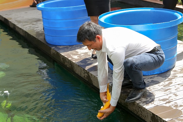 Khánh thành Hồ cá chép Nhật Bản, thêm không gian "sống ảo" cho sinh viên HUTECH tại Trung tâm Đào tạo chất lượng cao 80