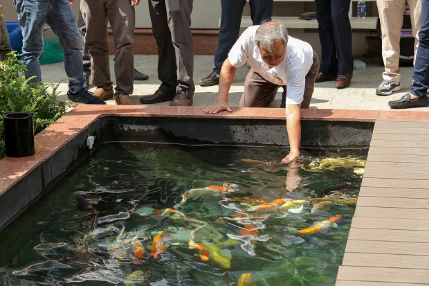 Khánh thành Hồ cá chép Nhật Bản, thêm không gian "sống ảo" cho sinh viên HUTECH tại Trung tâm Đào tạo chất lượng cao 37