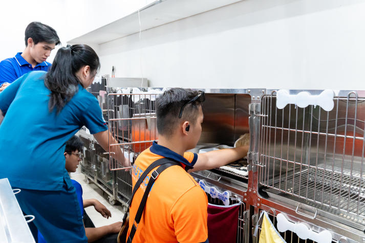 Tân sinh viên Thú y công nghệ số khám phá công nghệ chăn nuôi, mở góc nhìn chăm sóc sức khỏe thú cưng 52