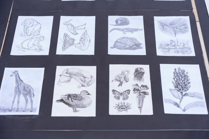 [Video] Triển lãm Hình hoạ tạo hình - Ký hoạ thiên nhiên qua góc nhìn của sinh viên Thiết kế đồ hoạ 85