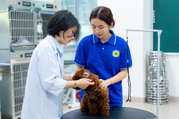 [Video] Hàng trăm thú cưng được thăm khám, tiêm vaccine phòng bệnh tại ngày hội “Chăm sóc sức khỏe thú cưng” HUTECH 178