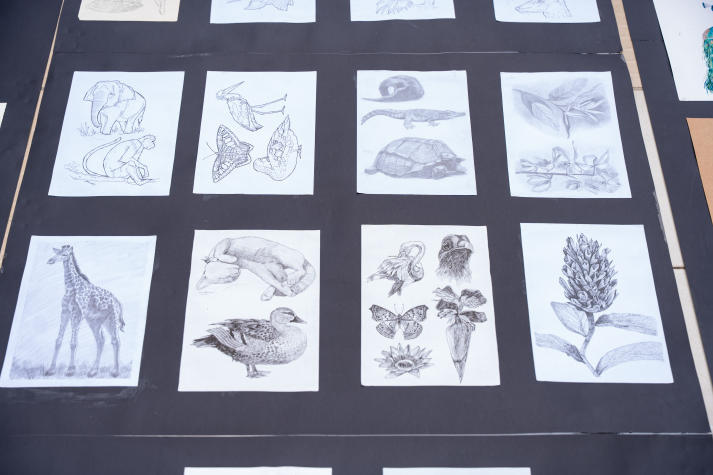 [Video] Triển lãm Hình hoạ tạo hình - Ký hoạ thiên nhiên qua góc nhìn của sinh viên Thiết kế đồ hoạ 72