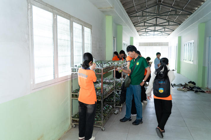 Sinh viên Viện Khoa học Ứng dụng tiếp cận công nghệ IoT trong nuôi trồng nấm và rau sạch 97