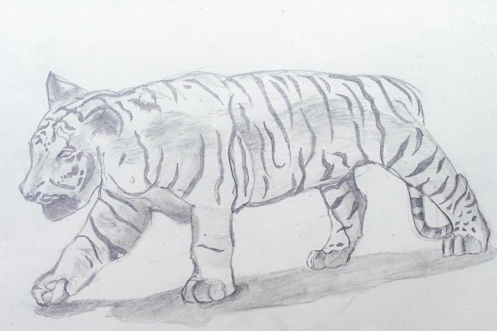 [Video] Triển lãm Hình hoạ tạo hình - Ký hoạ thiên nhiên qua góc nhìn của sinh viên Thiết kế đồ hoạ 57