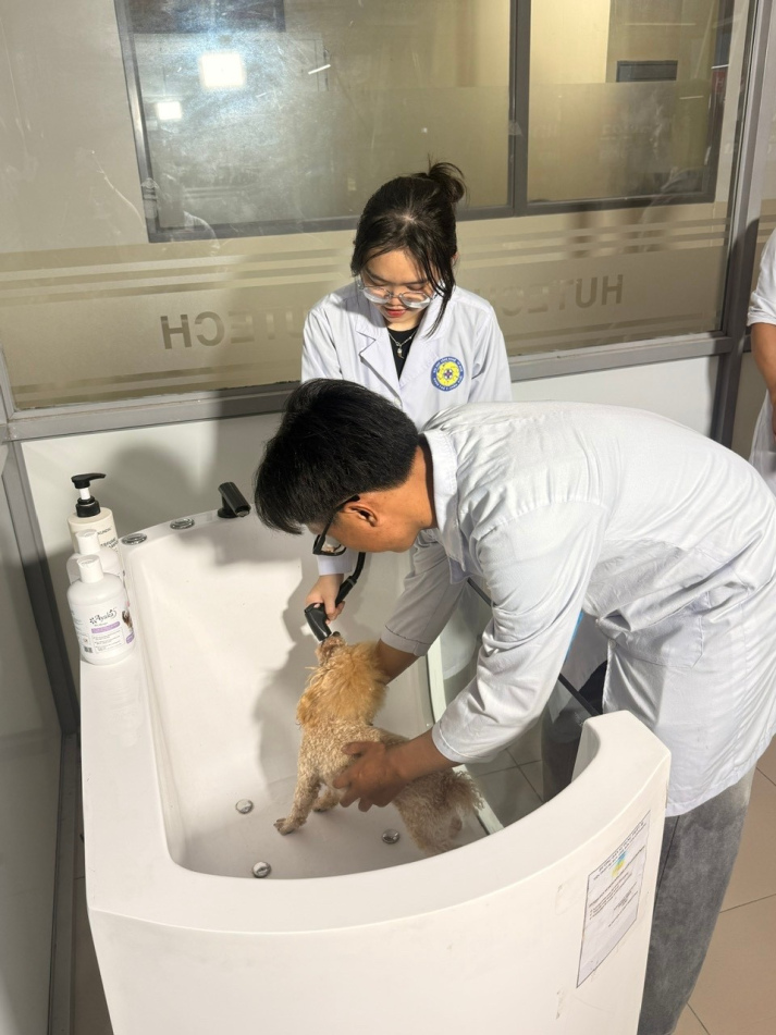 HUTECH tiên phong đào tạo chuyên ngành Chăm sóc thẩm mỹ thú cưng tại Việt Nam 37