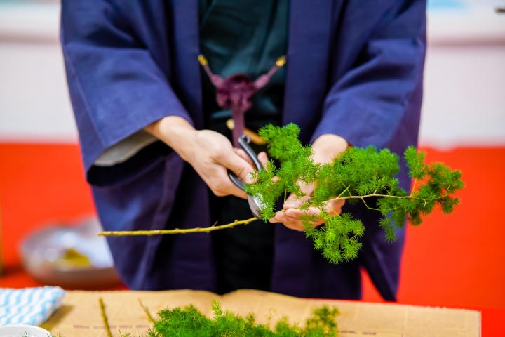 Sinh viên Khoa Nhật Bản học HUTECH trải nghiệm nghệ thuật cắm hoa truyền thống Ikebana qua Workshop 82