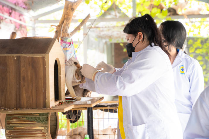 Sinh viên Khoa Thú y lan tỏa yêu thương qua hoạt động chăm sóc động vật trong chiến dịch Xuân tình nguyện 20