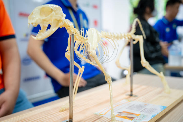 Khởi động Cuộc thi Thiết kế mô hình cơ thể học Thú y 2026 - Sân chơi khoa học cho người yêu động vật 51