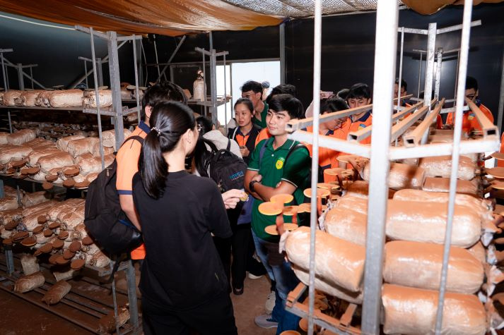 Sinh viên Viện Khoa học Ứng dụng tiếp cận công nghệ IoT trong nuôi trồng nấm và rau sạch 75