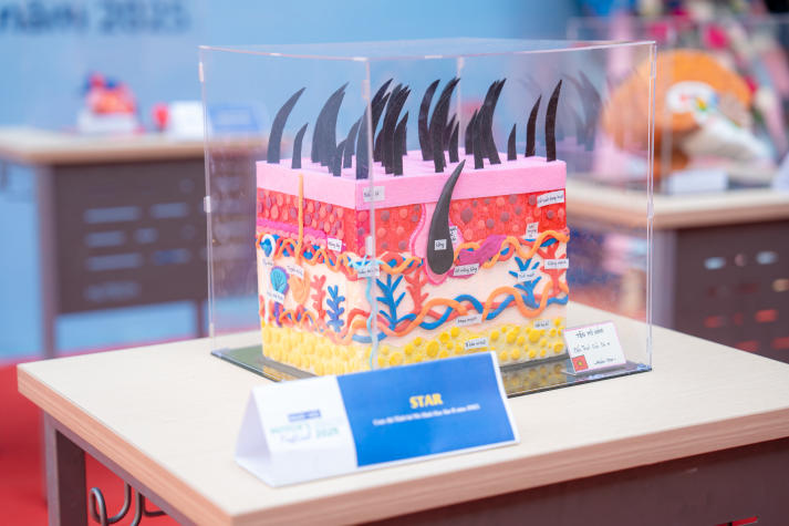 Sắc màu Khoa học sức khỏe bùng nổ tại HUTECH’s Health Festival 2025 147