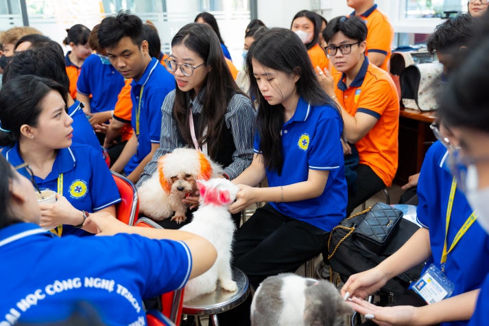 [Video] Hàng trăm thú cưng được thăm khám, tiêm vaccine phòng bệnh tại ngày hội “Chăm sóc sức khỏe thú cưng” HUTECH 145