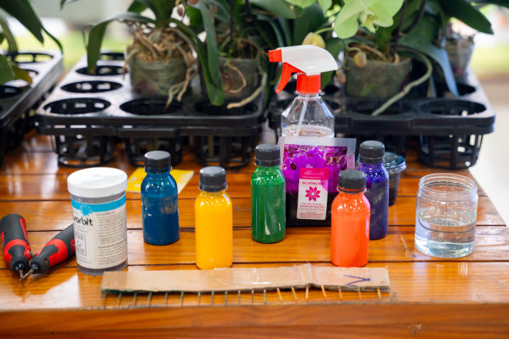 “Khoác áo mới” cho hoa lan: Hành trình sáng tạo của sinh viên Công nghệ sinh học 59