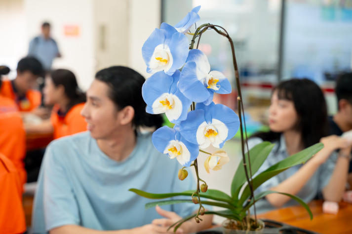 “Khoác áo mới” cho hoa lan: Hành trình sáng tạo của sinh viên Công nghệ sinh học 79