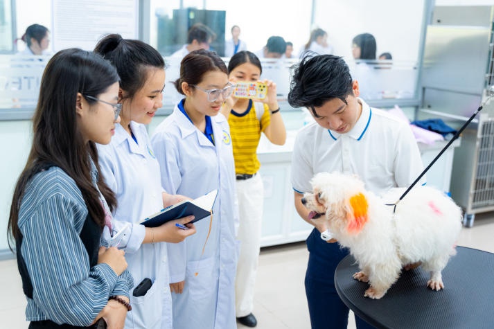 [Video] Hàng trăm thú cưng được thăm khám, tiêm vaccine phòng bệnh tại ngày hội “Chăm sóc sức khỏe thú cưng” HUTECH 175