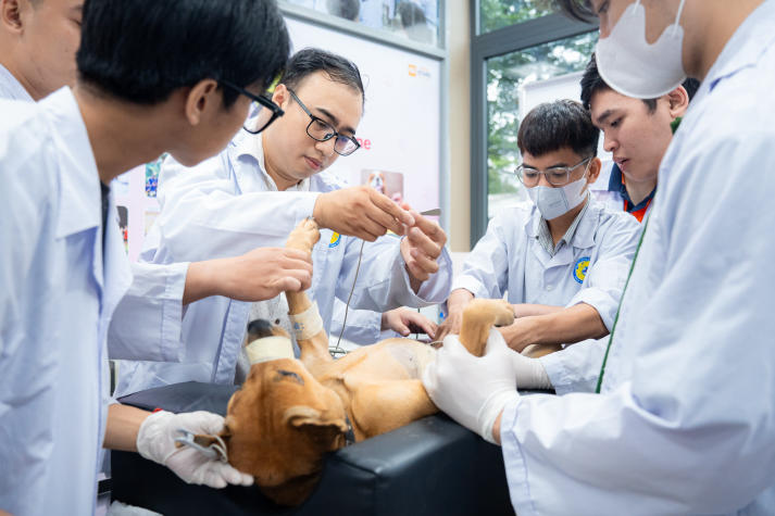 HUTECH and Adelaide University discuss cooperation in Veterinary Science and Engineering 72