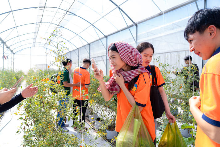 Sinh viên Viện Khoa học Ứng dụng tiếp cận công nghệ IoT trong nuôi trồng nấm và rau sạch 52