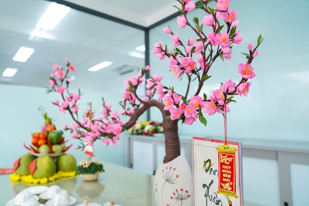 Bright spring colors to welcome Tet at HUTECH 204