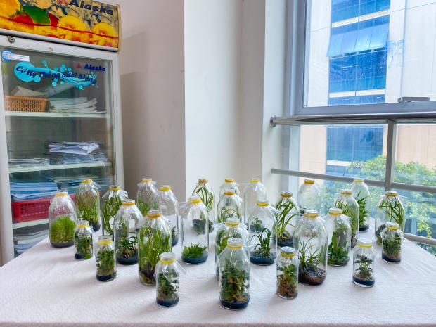 Viện Khoa học Ứng dụng HUTECH khởi động cuộc thi Nuôi cấy mô tế bào thực vật với 20 đội tranh tài 18