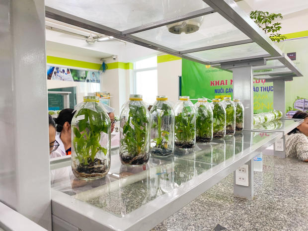 HUTECH Institute of Applied Sciences kicks off the Plant Tissue Culture Competition with 20 competing teams 161