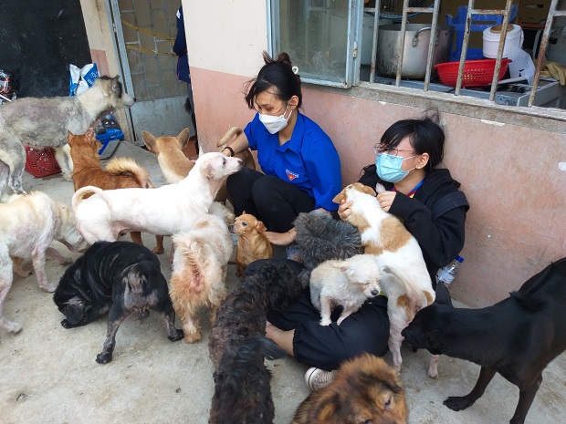 Các “chiến sĩ áo vàng” Khoa Thú y - Chăn nuôi lên đường cứu trợ động vật 51