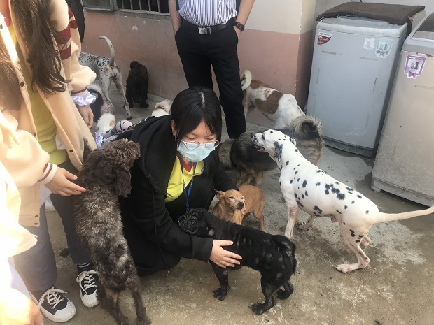 Các “chiến sĩ áo vàng” Khoa Thú y - Chăn nuôi lên đường cứu trợ động vật 54